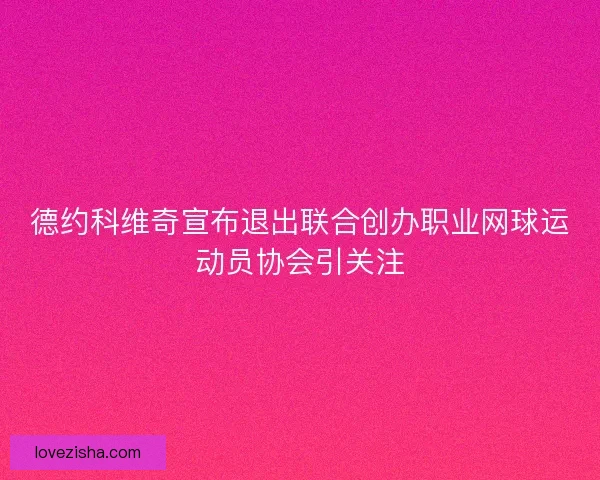 德约科维奇宣布退出联合创办职业网球运动员协会引关注