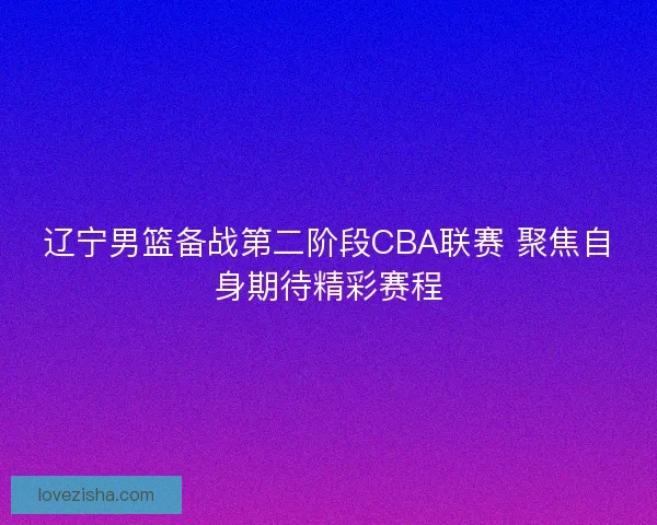 辽宁男篮备战第二阶段CBA联赛 聚焦自身期待精彩赛程