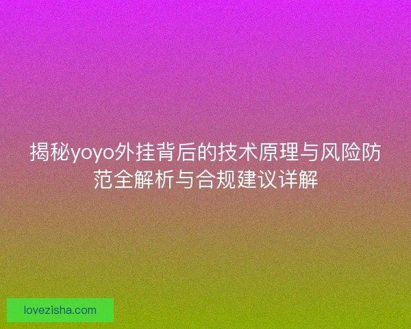 揭秘yoyo外挂背后的技术原理与风险防范全解析与合规建议详解