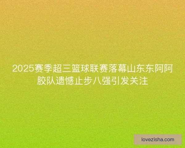 2025赛季超三篮球联赛落幕山东东阿阿胶队遗憾止步八强引发关注