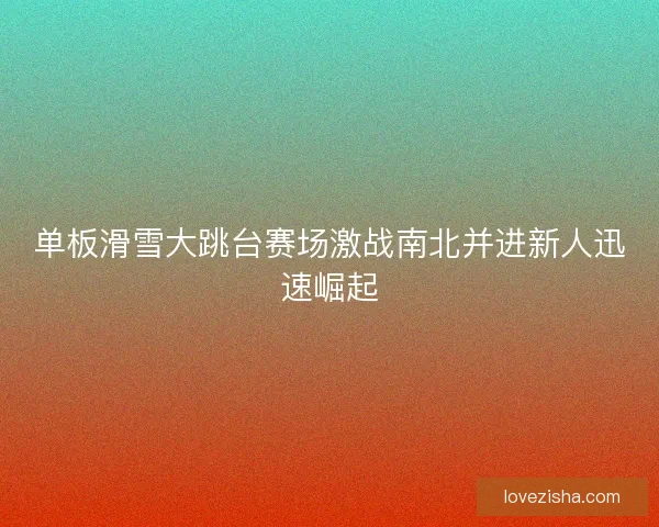 单板滑雪大跳台赛场激战南北并进新人迅速崛起